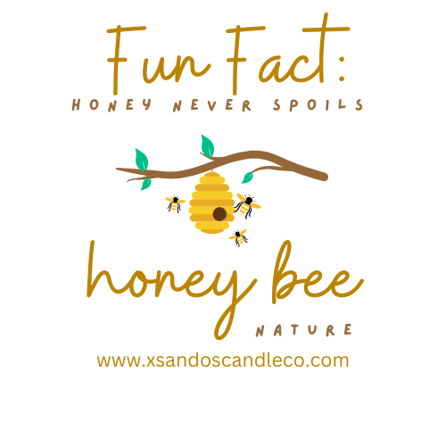 Fun Fact Friday: Honey Never Spoils